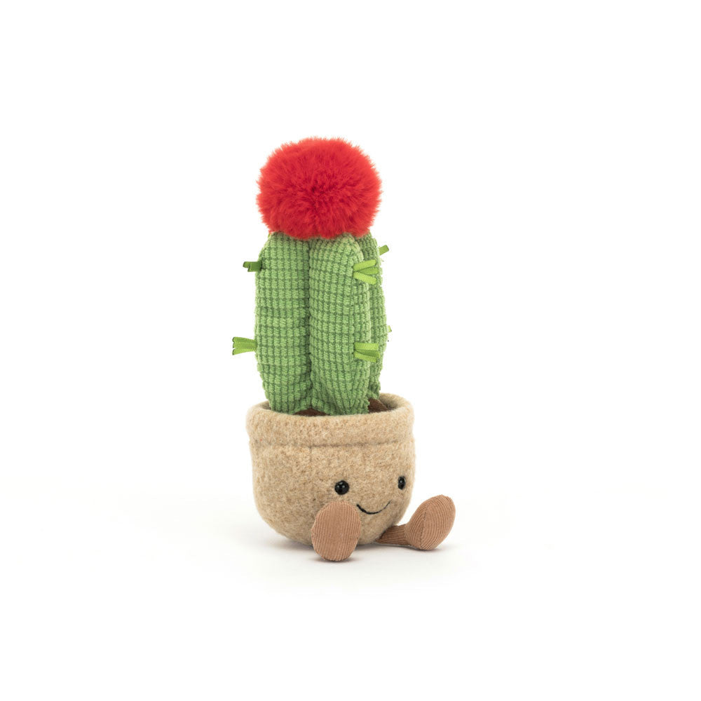 Amuseables Moon Cactus by Jellycat - Friends of K