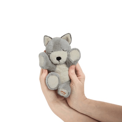 Olli Ella | Dinkum Binky Puppy Banjo by Olli Ella - Friends of K