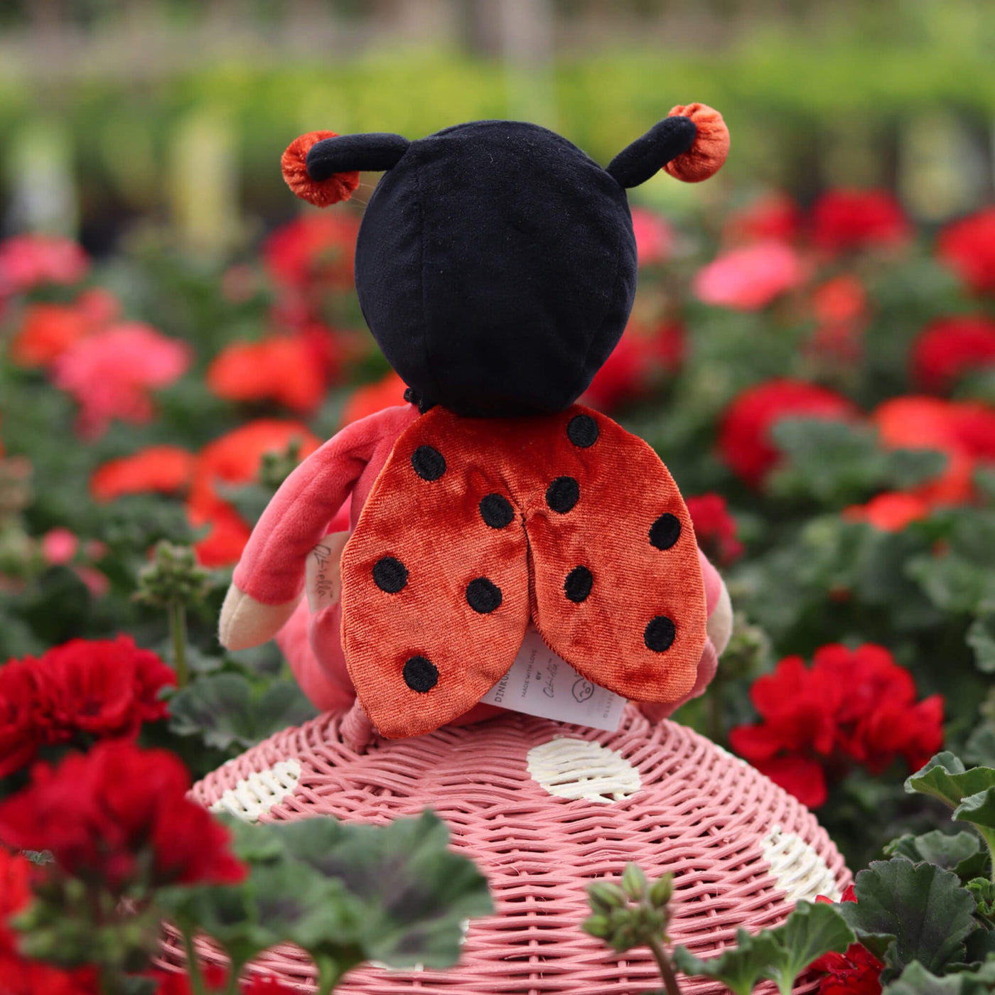 Olli Ella | Dinky Dinkum Backyard Buddies Lola Ladybug Red by Olli Ella - Friends of K