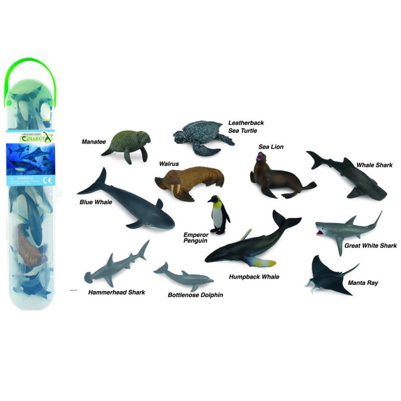 CollectA Gift Tube - Marine A (12 Piece) by CollectA - Friends of K