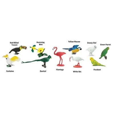 Safari Ltd | Exotic Birds Toob by Safari Ltd Toob - Friends of K